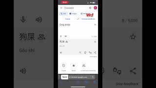 Wtf is with google translate #funny #memes #translate #stopgreenscreenkid #cool #viral #wtf