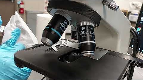 How to Clean Microscope & Slides After Using Oil