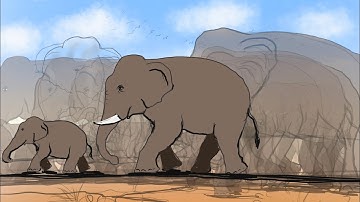 How I Animated Elephants Walking | 2D Animation Process