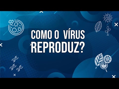 Como ocorre a reprodução dos vírus?