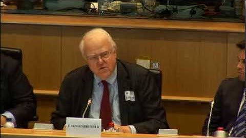 EP LIBE #EPinquiry 11 November 2013