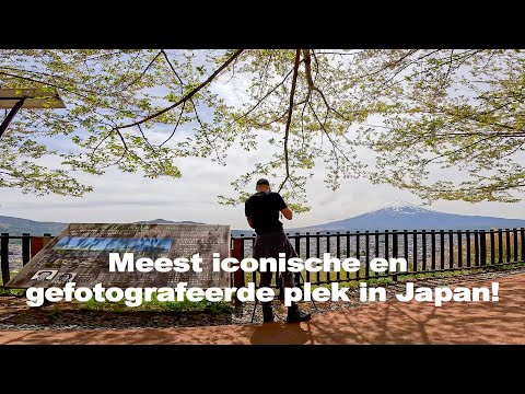 Video: Japan's meest verrassende toeristische attracties