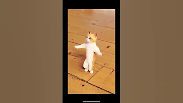 شيك شاك شوك شيك رقص اشتراك وصلوني 1k 2023 اطفال بيبي 