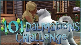 A New Stray Dog for the Pet Rescue!! • Sims 3: 101 Dalmatians Challenge - Episode #92 A New Stray Dog for the Pet Rescue!! • Sims 3: 101 Dalmatians Challenge - Episode #92