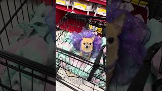 Annie’s eighth birthday shopping trip