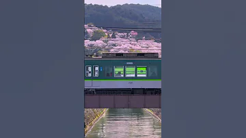 Lack Biwa Canal I Shiga I Japan I Shortvideo Japan 