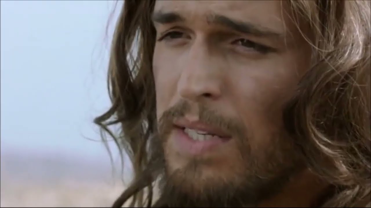 La terra chi la possiede