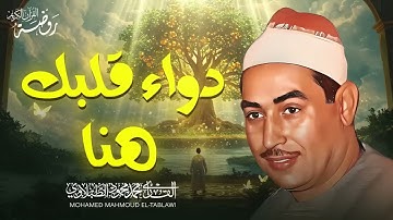 دواء قلبك هنا 🤍 أجمل تلاوات الشيخ محمد محمود الطبلاوي HD