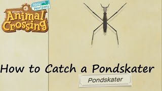 Animal Crossing: New Horizons - How to Catch a Pondskater screenshot 4