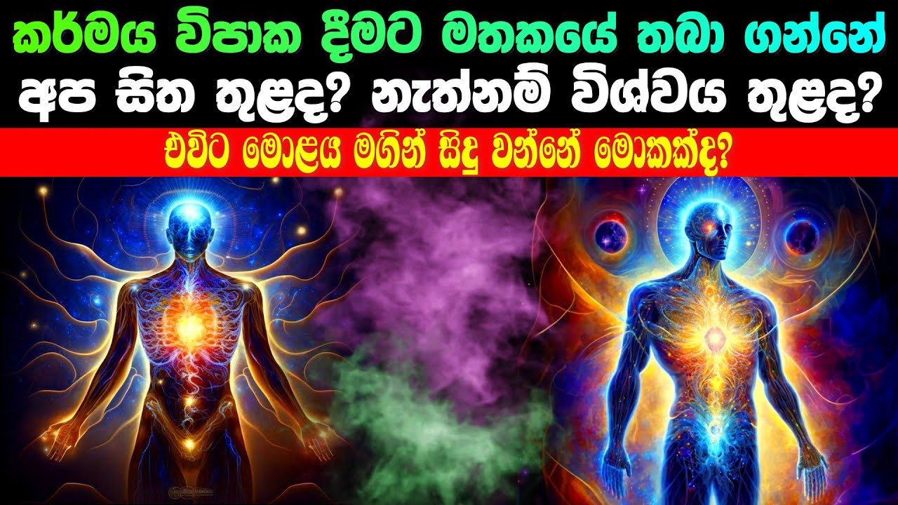 කර්මය විපාක දීමට මතක තබා ගන්නේ සිත තුළද? විශ්වය තුළද?