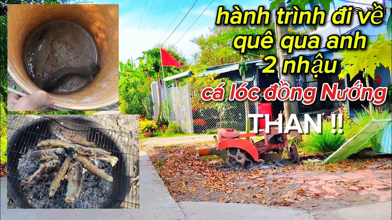 Mùng 2 tết qua nhà anh hai nhậu #vlog #nguyễnanmiềntây 