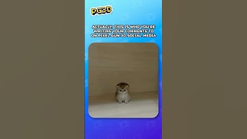 😸 Think twice before you go off. #PixelGun3D #pg3d #game #mobilegames