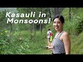 Secret spot in kasauli filled with flowers monsoon weekendtrips by tanya khanijow  himachal