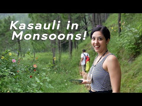 Secret Spot in Kasauli filled with flowers! Monsoon #WeekendTrips by Tanya Khanijow | Himachal