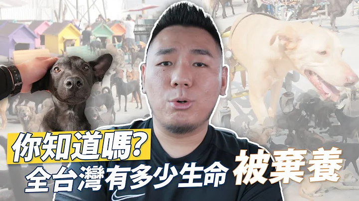 无比震撼！造访徐文良（徐园长护生园）捐狗粮体验 - 天天要闻