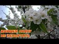АНАПА 14.04.2019  ДОЖДЕМ АНАПУ НЕ ИСПОРТИТЬ