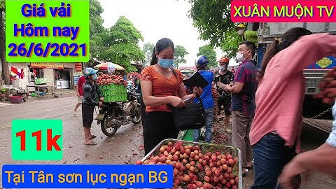 giá vải thiều buổi sáng 26/6/2021 tại tân sơn lục ngạn BG giá dao động 7k đến 11k