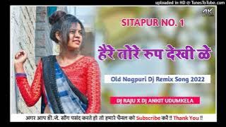 ||HAY RE TOR RUP DEKHI KE|| OLD NAGPURI DJ REMIX SONG 2022 ||DJ RAJU X DJ ANKIT UDUMKELA SITAPUR||