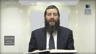 הדף היומי מסכת בכורות דף מו