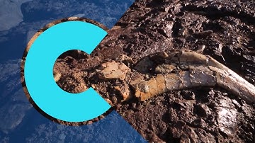 China dinosaur fossils discovery