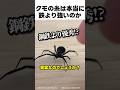 蜘蛛の糸は本当に鉄より強いのか?