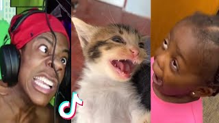 TikTok Memes That Will Keep You Laughing at 3AM 🛏️🤣🤣