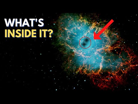 What's Inside The