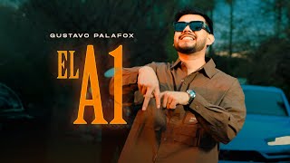 Gustavo Palafox - El A1