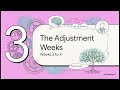 What to Expect in the First 4 Weeks on ADHD Medication | GP Guide for Adults in Queensland