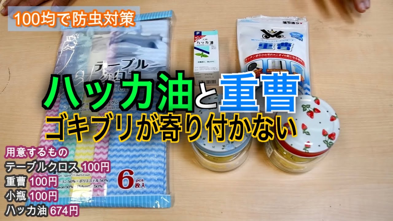 100円均一で作れる虫よけ ハッカ油と重曹でゴキブリも撃退 Youtube