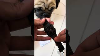 Audi boi unboxing Casio w-221h in black #casio #unboxing #w-221h #black