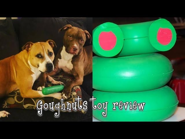 goughnuts dog toys