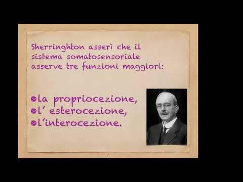 Video: Che cos'è una struttura somatica?