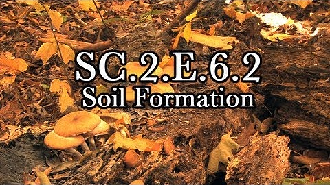 SC.2.E.6.2 Soil Formation