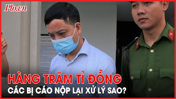 Vụ chuyến bay giải cứu: Hàng trăm tỉ đồng các bị cáo nộp lại được xử lý ra sao? - PLO