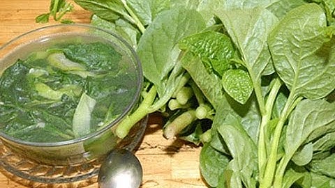 Cẩn thận 5 tác hại của rau mồng tơi mà chưa từng được biết