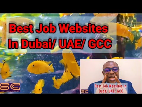 Best Job Websites In Dubai/ UAE/ GCC
