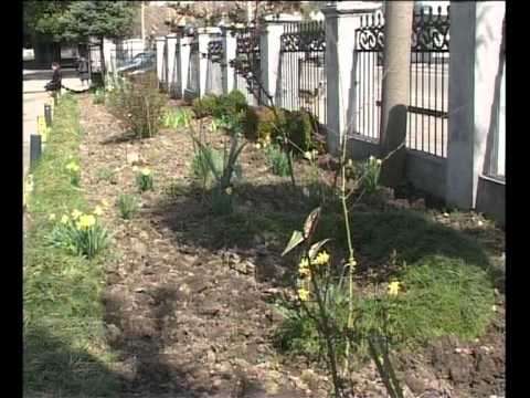 ქალაქის რამდენიმე სკოლა...