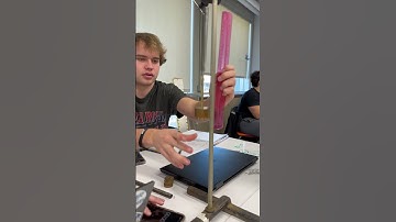 spring 3 oscillation