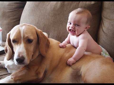 Birlikte oynamak sevimli bebekler ve köpekler  komik bebek