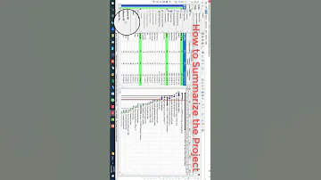 Primavera P6 Tips And Tricks 1 How To View A Summary Of A Large Project Primavera Primaverap6 