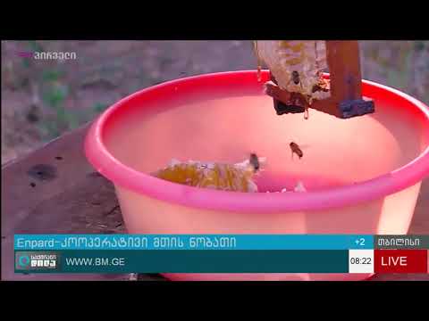 კოოპერატივი მთის ნობათი Cooperative Mtis Nobati