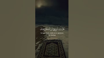 ووصينا الإنسان بوالديه إحسانا |القارئ إسلام صبحي #راحه_نفسيه😴🤍