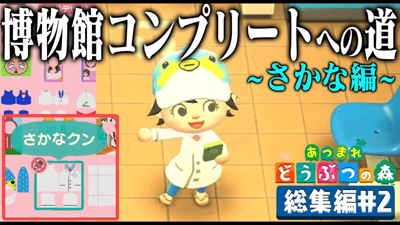 ドコムスの「あつまれどうぶつの森～博物館コンプリート～さかな編」総集編#2【ドコムス切り抜き】