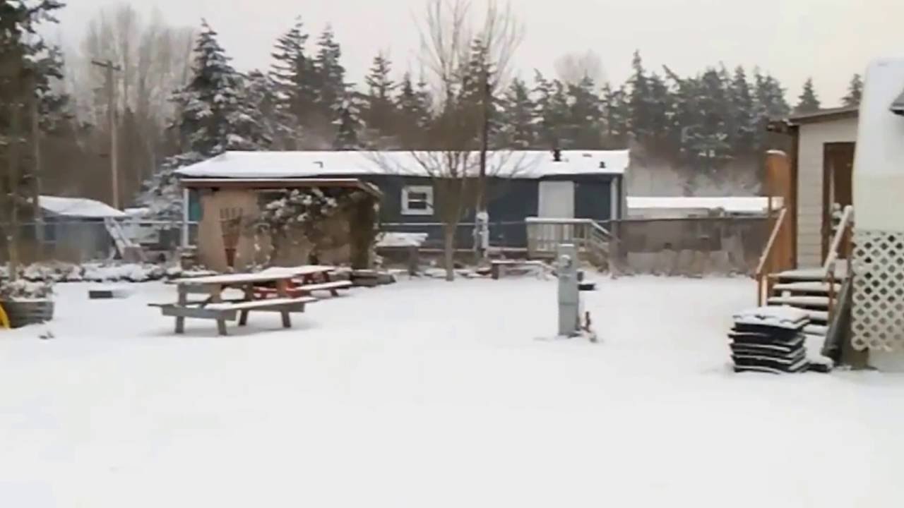 Snow Day at Lighthouse RV park Birch Bay WA. YouTube