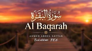 Surah Al Baqarah - Ahmed Abdel Sattar (البقرة) Beautiful Emotional Quran Recitation for Inner Peace