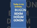 turkish Birthday/Doğum günü