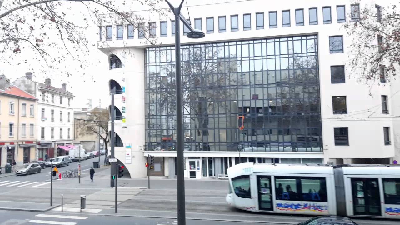 Lyon Sous la neige 2016(1)