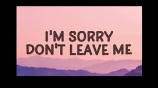 $LANDER-love is gone (lyrics) ft.Dylan Matthew “I am sorry don’t leave me “by LOUD SPEAKER
