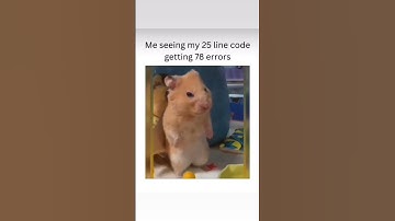 Code meme #web #shortvideo #programming #coding #css #javascript #webdevelopment #memes #meme